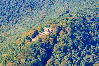 Vue aérienne de Ruines et vestiges des murs de l'ancien château et forteresse de Rietburg à Rhodt unter Rietburg dans le département Rhénanie-Palatinat, Allemagne