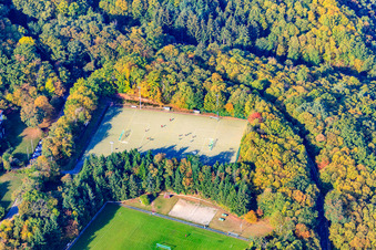 Vue aérienne de Terrain de sport de l'école de sport Edenkoben de l'Association de football SW-Germany eV à Edenkoben dans le département Rhénanie-Palatinat, Allemagne