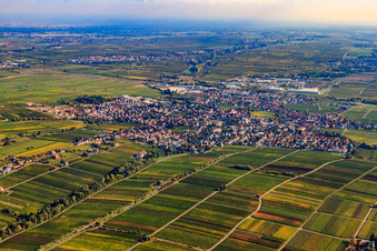 Vue aérienne de Vue de la ville depuis le sud-ouest à Edenkoben dans le département Rhénanie-Palatinat, Allemagne