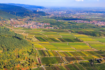 Vue aérienne de Village viticole au bord du Haardt vu du sud à Weyher in der Pfalz dans le département Rhénanie-Palatinat, Allemagne