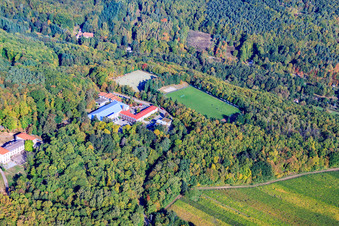 Vue aérienne de Terrain de sport de l'école de sport Edenkoben de l'Association de football SW-Germany eV à Edenkoben dans le département Rhénanie-Palatinat, Allemagne