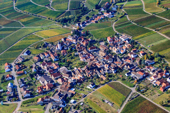 Vue aérienne de Village viticole au bord du Haardt vu du nord à Weyher in der Pfalz dans le département Rhénanie-Palatinat, Allemagne