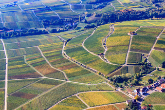 Vue aérienne de Chapelle Saint-Michel à Vinert à Weyher in der Pfalz dans le département Rhénanie-Palatinat, Allemagne