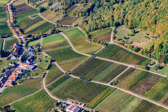 Vue aérienne de Vignobles en bordure du Haardt Hinkelberg à Weyher in der Pfalz dans le département Rhénanie-Palatinat, Allemagne