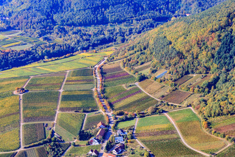 Vue aérienne de Vignobles en bordure du Haardt Modenbachtalstr à Weyher in der Pfalz dans le département Rhénanie-Palatinat, Allemagne
