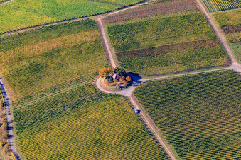 Photographie aérienne de Chapelle Saint-Michel à Vinert à Weyher in der Pfalz dans le département Rhénanie-Palatinat, Allemagne