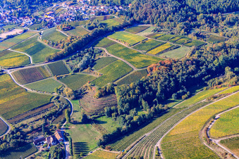 Vue aérienne de Modenbachtal et Burrweiler moulin à Burrweiler dans le département Rhénanie-Palatinat, Allemagne