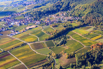 Vue aérienne de Modenbachtal et Burrweiler moulin à Burrweiler dans le département Rhénanie-Palatinat, Allemagne