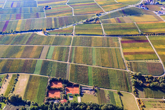 Vue aérienne de Club de tennis de Modenbachtal à Hainfeld dans le département Rhénanie-Palatinat, Allemagne