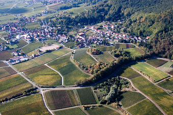 Vue aérienne de Village viticole au bord du Haardt vu du nord à Burrweiler dans le département Rhénanie-Palatinat, Allemagne