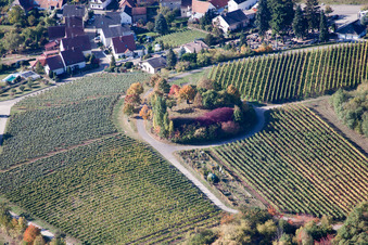 Vue aérienne de Île arborée sur un vignoble à Burrweiler dans le département Rhénanie-Palatinat, Allemagne