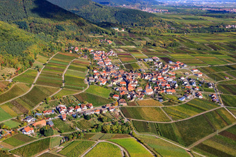 Vue aérienne de Vignobles du sud à Weyher in der Pfalz dans le département Rhénanie-Palatinat, Allemagne