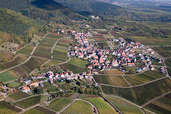 Vue aérienne de Vignobles du sud à Weyher in der Pfalz dans le département Rhénanie-Palatinat, Allemagne