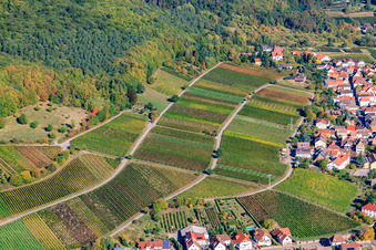 Vue aérienne de Vignes au bord du Haardt à Weyher in der Pfalz dans le département Rhénanie-Palatinat, Allemagne