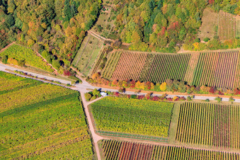 Photographie aérienne de Vignobles en bordure du Haardt Modenbachtalstr à Weyher in der Pfalz dans le département Rhénanie-Palatinat, Allemagne