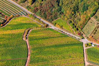 Vue aérienne de Vignobles en bordure du Haardt Modenbachtalstr à Burrweiler dans le département Rhénanie-Palatinat, Allemagne