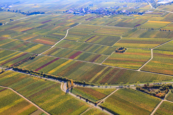 Vue aérienne de Des vignobles aux couleurs automnales à Burrweiler dans le département Rhénanie-Palatinat, Allemagne