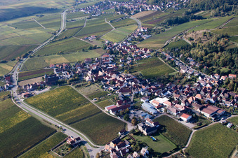 Vue aérienne de Village viticole au bord du Haardt au nord-est à Burrweiler dans le département Rhénanie-Palatinat, Allemagne