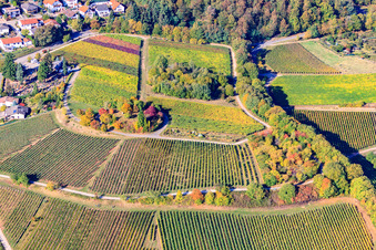 Vue aérienne de Île arborée sur un vignoble à Burrweiler dans le département Rhénanie-Palatinat, Allemagne