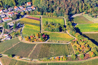 Photographie aérienne de Île arborée sur un vignoble à Burrweiler dans le département Rhénanie-Palatinat, Allemagne
