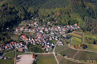 Vue aérienne de Waldstr à Burrweiler dans le département Rhénanie-Palatinat, Allemagne