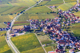 Vue aérienne de Weinstr à Burrweiler dans le département Rhénanie-Palatinat, Allemagne