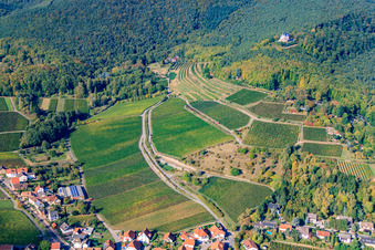 Vue aérienne de Rue Sainte-Anne à Burrweiler dans le département Rhénanie-Palatinat, Allemagne