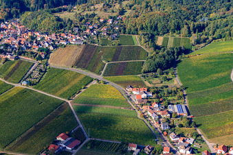 Vue aérienne de Route des vins entre Gleisweiler et Burrweiler à Gleisweiler dans le département Rhénanie-Palatinat, Allemagne
