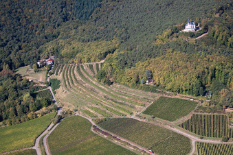 Vue aérienne de Chapelle Sainte-Anne Chapelle sur l'Annaberg à Burrweiler dans le département Rhénanie-Palatinat, Allemagne