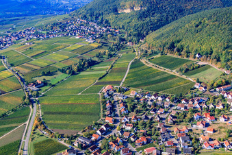 Vue aérienne de Route des vins entre Gleisweiler et Frankweiler à Frankweiler dans le département Rhénanie-Palatinat, Allemagne