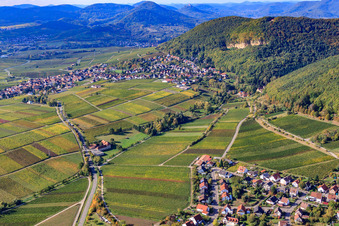 Vue aérienne de Route des vins entre Gleisweiler et Frankweiler à Frankweiler dans le département Rhénanie-Palatinat, Allemagne