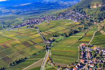Vue aérienne de Vignobles entre Gleisweiler et Frankweiler à Frankweiler dans le département Rhénanie-Palatinat, Allemagne