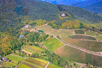 Vue aérienne de Chapelle Sainte-Anne au-dessus du domaine viticole de St. Annaberg à Burrweiler dans le département Rhénanie-Palatinat, Allemagne