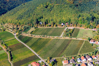 Vue aérienne de Haardtrand-Faulenberg à Gleisweiler dans le département Rhénanie-Palatinat, Allemagne