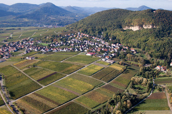 Vue aérienne de Village - vue entre la forêt du Palatinat et les vignobles à Frankweiler dans le département Rhénanie-Palatinat, Allemagne