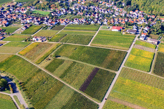 Vue aérienne de Bergbornstr à Frankweiler dans le département Rhénanie-Palatinat, Allemagne