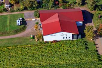 Vue aérienne de Domaine viticole Lidy à Frankweiler dans le département Rhénanie-Palatinat, Allemagne