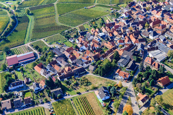 Vue aérienne de Dorfbornstr à Frankweiler dans le département Rhénanie-Palatinat, Allemagne