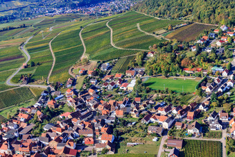 Vue aérienne de Vignoble Haardtrand-Käfernberg à Frankweiler dans le département Rhénanie-Palatinat, Allemagne