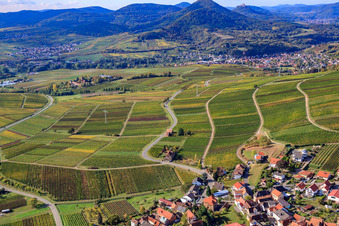 Photographie aérienne de Vignoble Haardtrand-Käfernberg à Frankweiler dans le département Rhénanie-Palatinat, Allemagne