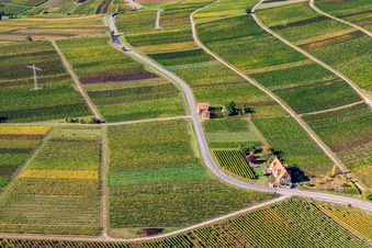Vue aérienne de Trifelsstraße dans les vignes à Frankweiler dans le département Rhénanie-Palatinat, Allemagne
