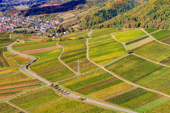 Vue oblique de Vignoble Haardtrand-Käfernberg à Frankweiler dans le département Rhénanie-Palatinat, Allemagne