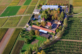 Vue aérienne de BFA-Geilweilerhof (Institut de recherche sur la vigne) Institut JKI à Siebeldingen dans le département Rhénanie-Palatinat, Allemagne