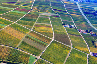 Vue aérienne de Domaine viticole et vinicole mousseux Marienfelder Hof à Siebeldingen dans le département Rhénanie-Palatinat, Allemagne