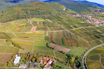 Vue oblique de BFA-Geilweilerhof (Institut de recherche sur la vigne) Institut JKI à Siebeldingen dans le département Rhénanie-Palatinat, Allemagne