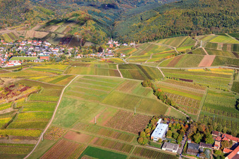 Vue aérienne de Quartier de St. Johann à Albersweiler dans le département Rhénanie-Palatinat, Allemagne