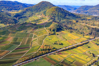 Vue aérienne de Vignoble de Kastanienbusch sous le Hohenberg à Birkweiler dans le département Rhénanie-Palatinat, Allemagne