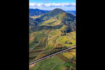Vue aérienne de Vignoble de Kastanienbusch sous le Hohenberg à Birkweiler dans le département Rhénanie-Palatinat, Allemagne