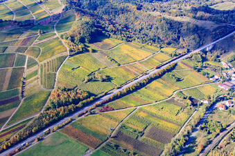 Vue aérienne de Vignoble de Kastanienbusch sur la B10 à Albersweiler dans le département Rhénanie-Palatinat, Allemagne