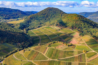 Photographie aérienne de Vignoble de Kastanienbusch sous le Hohenberg à Birkweiler dans le département Rhénanie-Palatinat, Allemagne